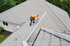 Bliss Roofing